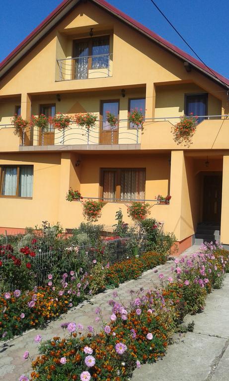 Pensiunea Popan Şieu Exterior foto