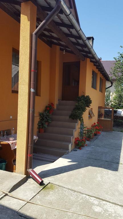 Pensiunea Popan Şieu Exterior foto